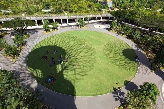 景观草坪 · 会呼吸的绿色空间_2