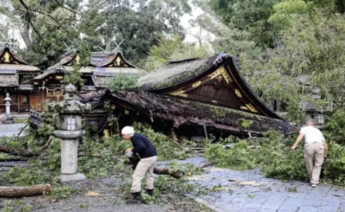 四合院京式古建资料下载-日本关西地区因台风受损古建筑情况汇总 1.0