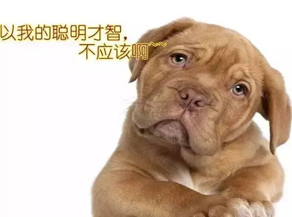 apo污水厂处理工艺图资料下载-24张污水处理工艺动图，据说90%的技术人员都给跪了！