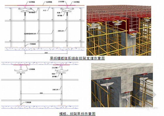 [上海]框架结构保障性住房施工组织设计（白玉兰工程）-模板支撑体系 