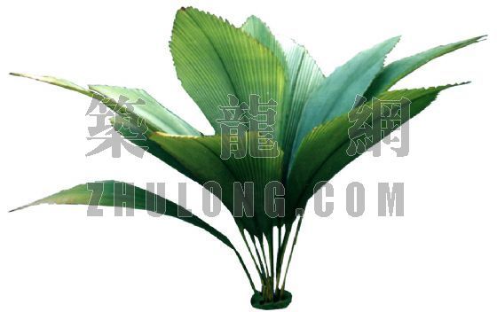 铁树池施工图资料下载-铁树
