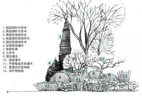 涨知识！还在为植物搭配发愁吗？来看看这些搭配怎么样！_5