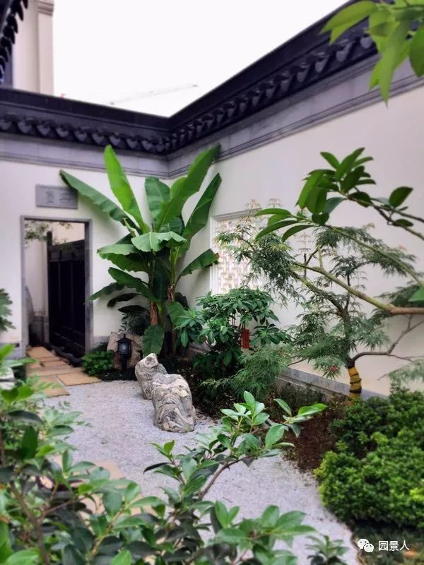 su中式植物资料下载-中式园林 · 植物造景