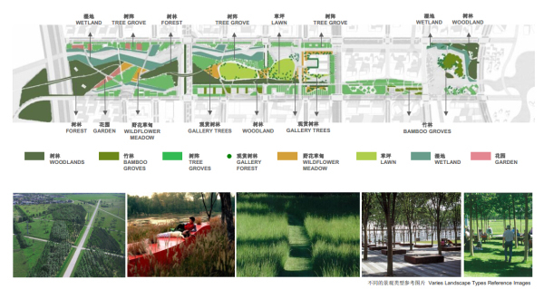 [上海]新城景观轴线公园景观设计方案（赠项目设计视频+实景图）-景观类型分析