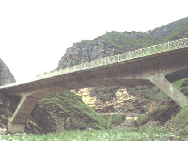柱斜撑人行木桥资料下载-混凝土公路桥结构设计（PPT共208页）