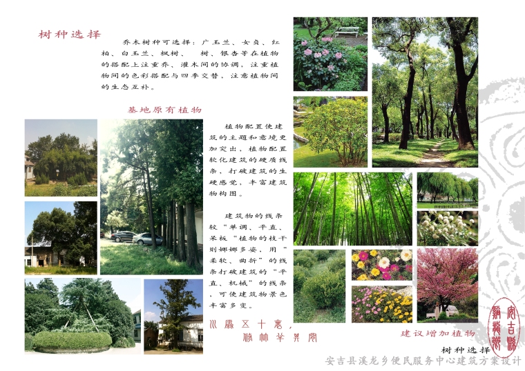 [浙江]湖州市安吉县溪龙乡便民服务中心建筑设计方案（含CAD施工图）-3.07-树种选择