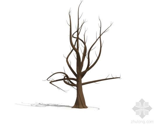 沙漠枯树3d模型资料下载-造型枯树101