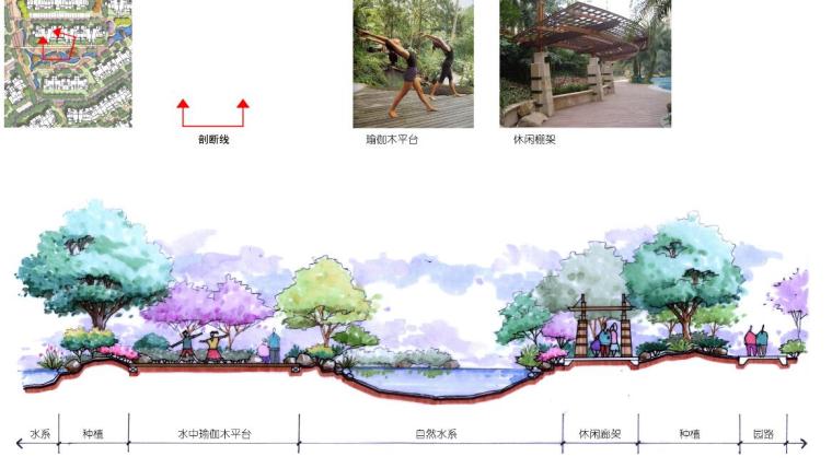 [安徽]淮南现代简约风高层住宅+花园洋房景观设计方案-花园洋房区景观设计——组团剖面图