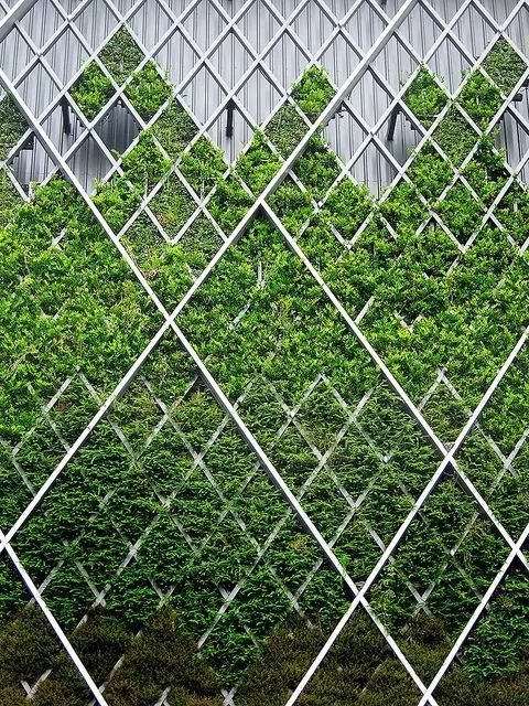 垂直绿化的住宅资料下载-垂直绿化，让建筑活起来~