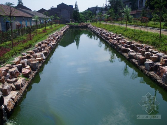 水环境综合整治工程可行性研究报告-生态河道 