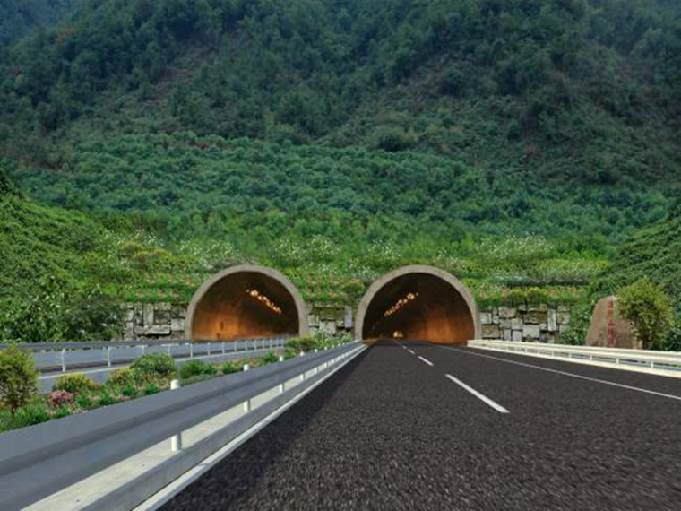 绿化苗木补植施工方案资料下载-连拱隧道隧道安全专项施工方案
