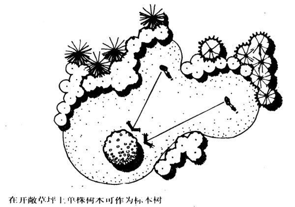 你以为我设计的是植物？我设计的是空间！_35