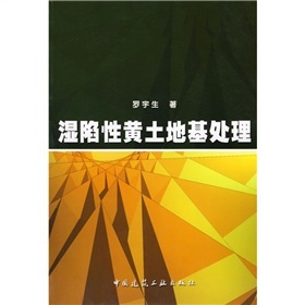 湿陷性黄土地基处理规范资料下载-湿陷性黄土地基处理 罗宇生