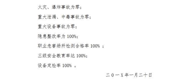 安全生产标准化之目标模板