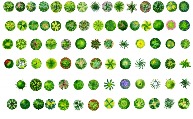 园林手绘素材资料下载-园林手绘平面形意素材共享资料，特别棒~