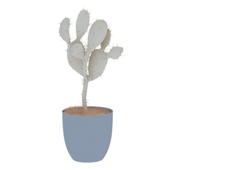 景观植物su3D模型资料下载-盆栽植物3D模型下载