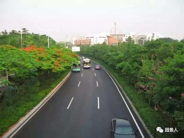 城市干道植物配置，实用干货不得不看！_21