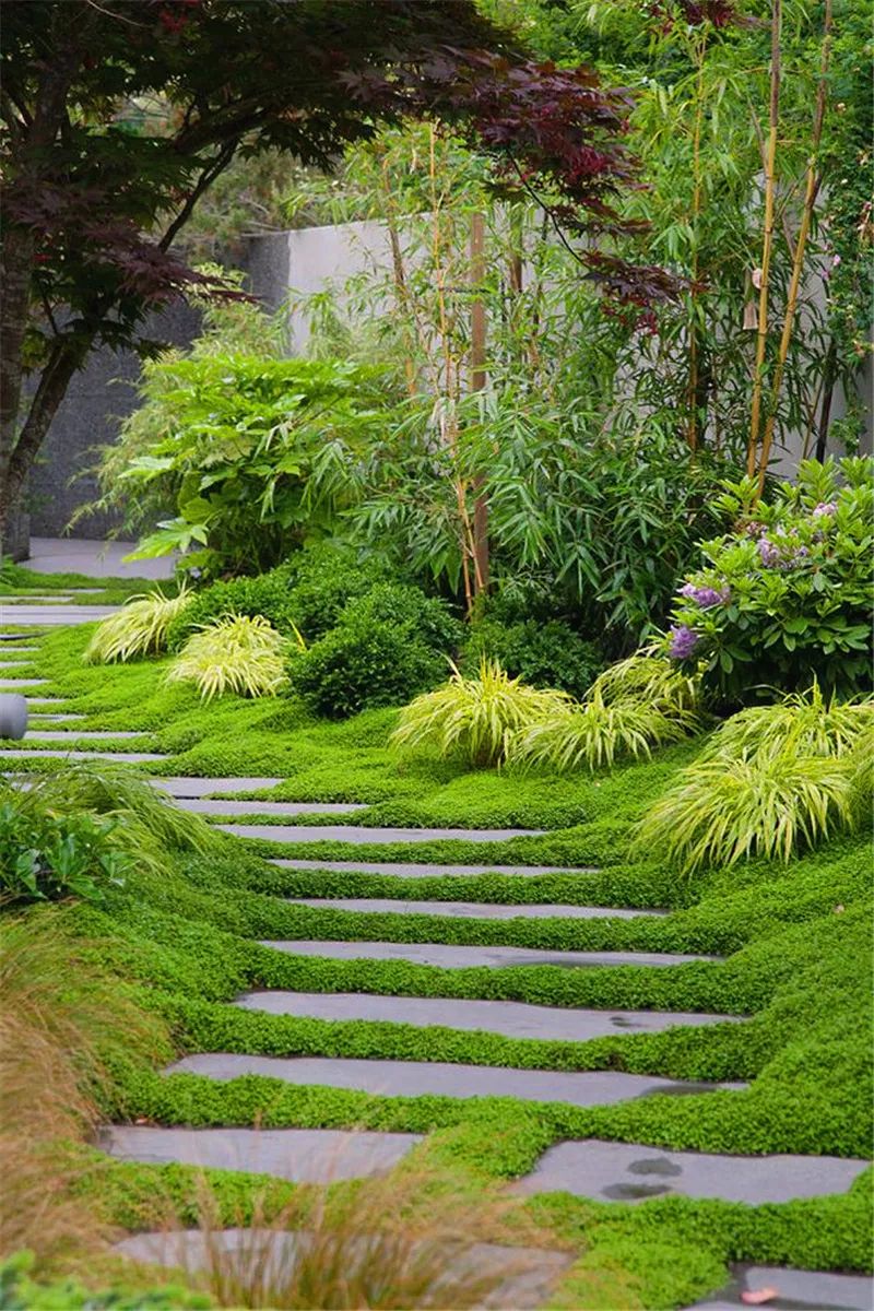 游步道的铺装设计 石缝中嵌草或草皮上嵌石 浅色石块与草坪形成的对比