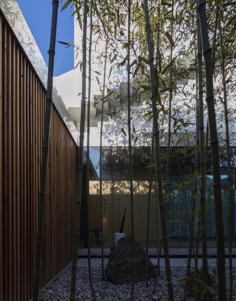 [案例分析]建筑与自然——陶磊自宅项目分享-图片11.jpg