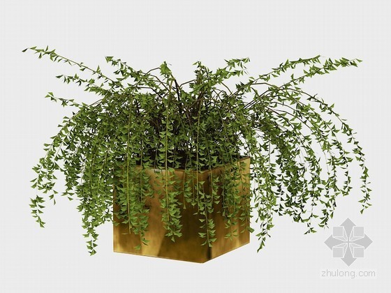 景观植物su3D模型资料下载-室外绿化植物3D模型下载