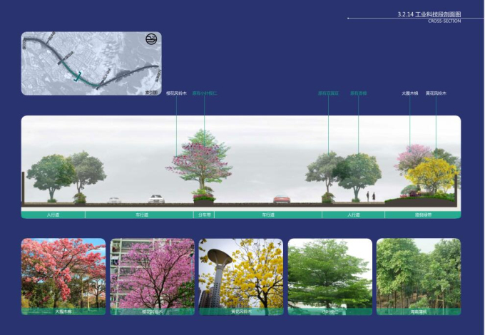 [广东]花海大道环境整治工程设计-剖面图