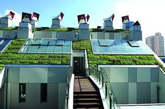 18项绿色建筑节能环保新技术，你知道几个？-19.绿色屋面_副本.jpg