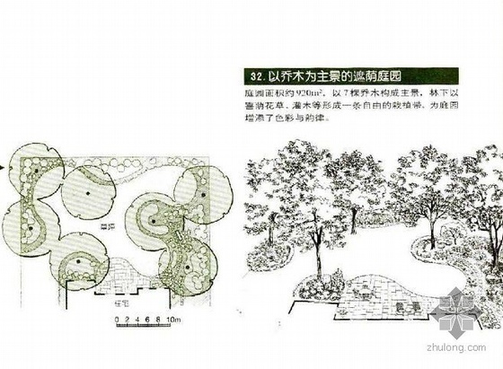 和谐为主题的景观设计资料下载-以乔木为主的遮荫庭院景观设计