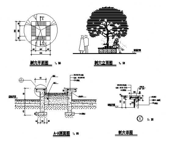 树穴详图1