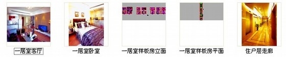 [大连]精品高档公寓一居室装修施工图（含实景）-资料图纸总缩略图 