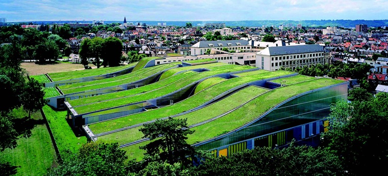 海绵城市建设中的植物选择与设计-3.jpg