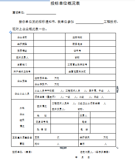 中式文化广场设计资料下载-[平湖]恒隆商业文化广场项目招标文件（共19页）