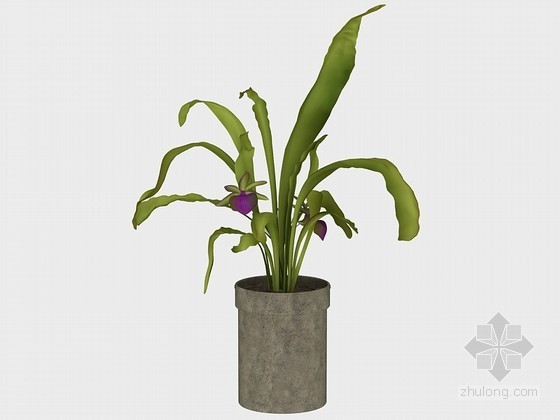 植物盆栽cad下载资料下载-赏心悦目盆栽3D模型下载