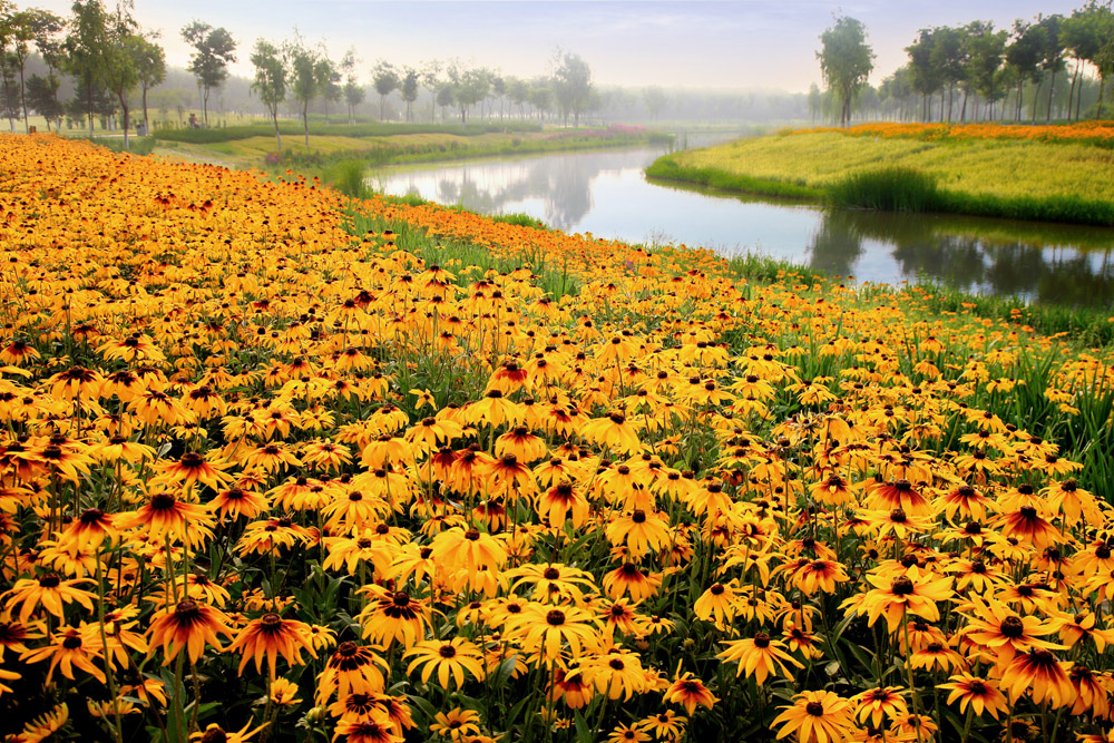 迁安三里河绿道景观(唐山)