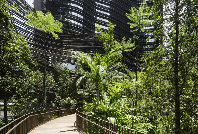 新加坡滨海盛景的绿色之心景观-011-The-Green-Heart-of-Singapore-Marina-One-by-ingenhoven
