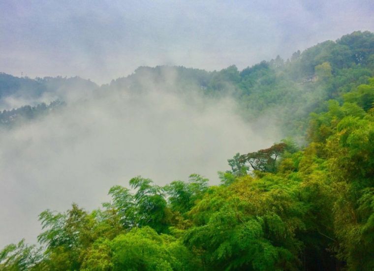 古镇，竹海，瀑布，书院···端午节只去这一个地方就够了_23