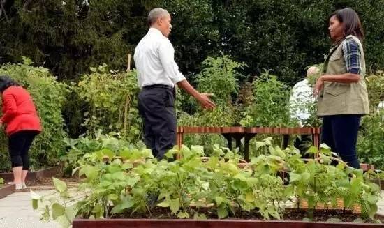 搬离白宫前，米歇尔捐出250万美元保护种了8年的白宫菜园_29