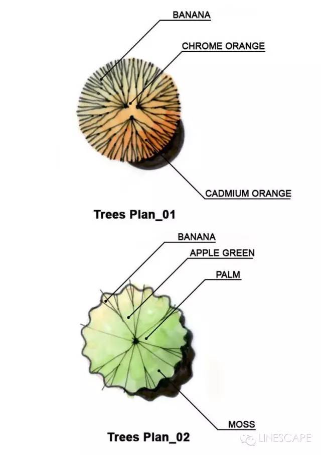 景观植物手绘是如何画出酷酷的效果？_2