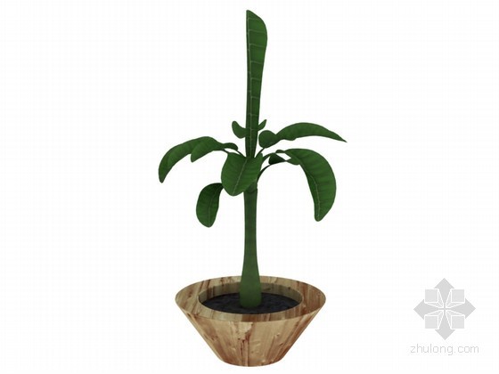 法国绿色植物分层立体资料下载-绿色植物3D模型下载