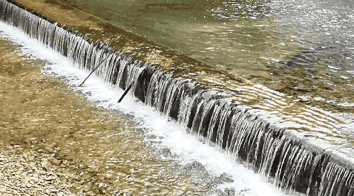 古城河景观资料下载-比黑臭河更可怕的是骗人骗钱的伪生态工程