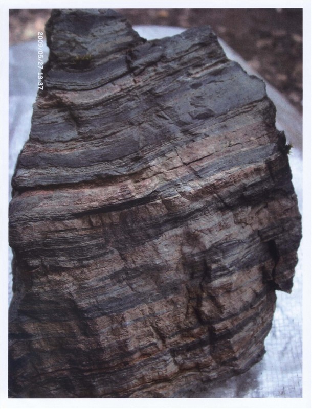 图  变质岩的条带状构造(德钦)