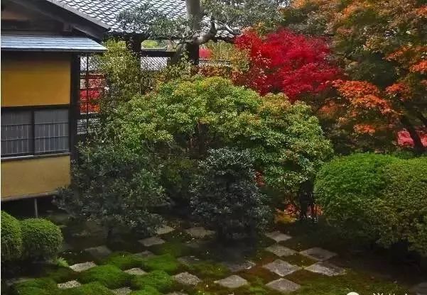 日本的单纯、凝练、清净——日本庭院_10