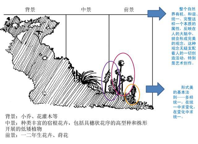 花境，该怎么样设计？_16