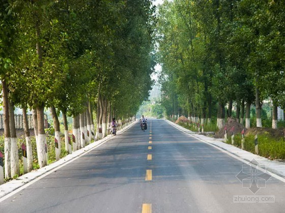 农村道理施工组织设计资料下载-农村公路道路硬化工程施工组织设计（道路排水,2013）