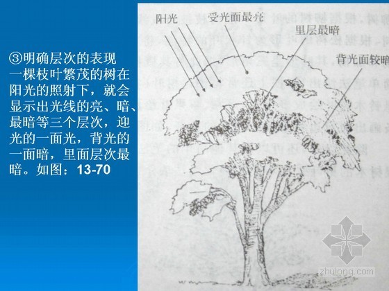 种植施工图绘制规范资料下载-园林景观工程植物种植施工图绘制