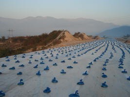 混凝土养护节水资料下载-水泥稳定层混凝土节水保湿养护膜养生技术施工工法