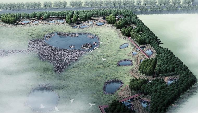 哈尔滨生态湿地公园视频资料下载-[哈尔滨]某新区生态湿地公园景观方案设计——土人设计
