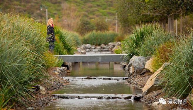 溪流设计-景观设计-筑龙园林景观论坛