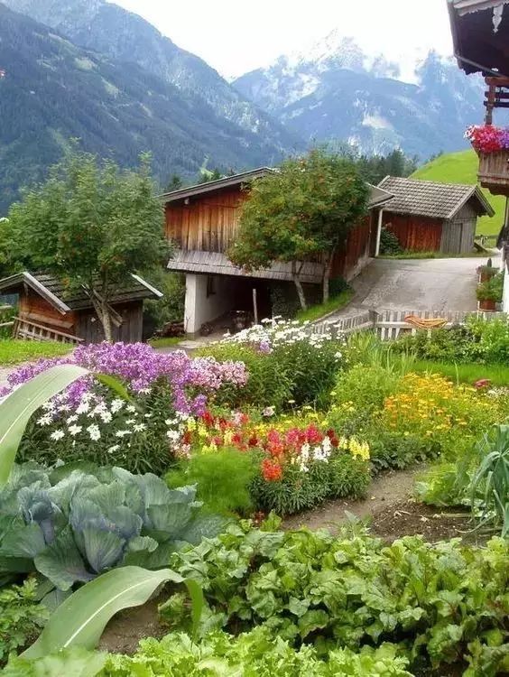 用砖砌小院子围墙图片资料下载-愿我有个的院子，种菜。