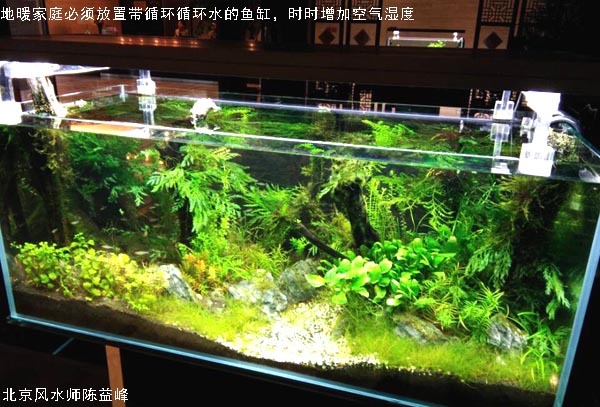 陈益峰：地暖房子过于燥热，久住后人愚蠢暴躁-657.jpg