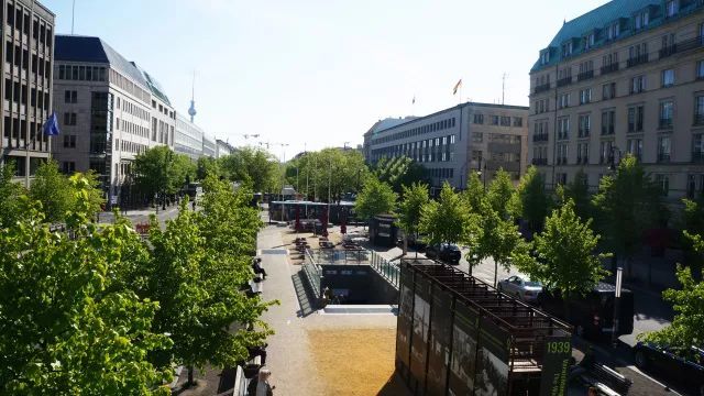 植物配置]浅谈城市道路绿地植物景观营造_5